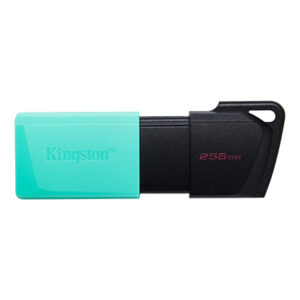 Memoria usb 256gb kingston dtxm/256 usb3.2 exodia m