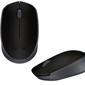 Raton óptico inalámbrico Logitech M171 Negro  910-004424