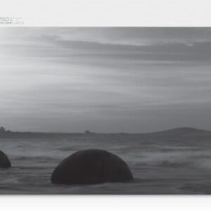 Tóner original samsung clt-k404s negro 1.500 páginas