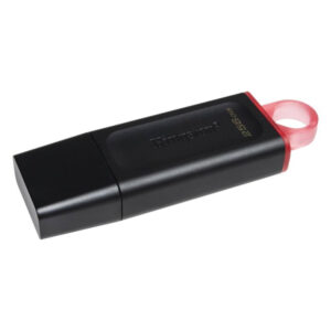 Memoria usb 256gb kingston dtx/256 usb3.2