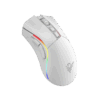 Vista 5