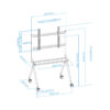 Vista 4