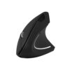 Vista 1