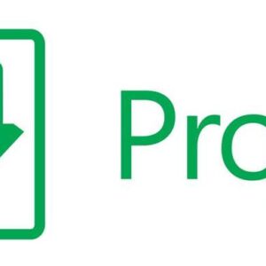 Microsoft project standard 2024 esd (descarga directa) todos los idiomas
