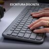 Vista 6