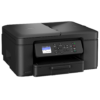 Vista 3