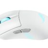 Vista 5