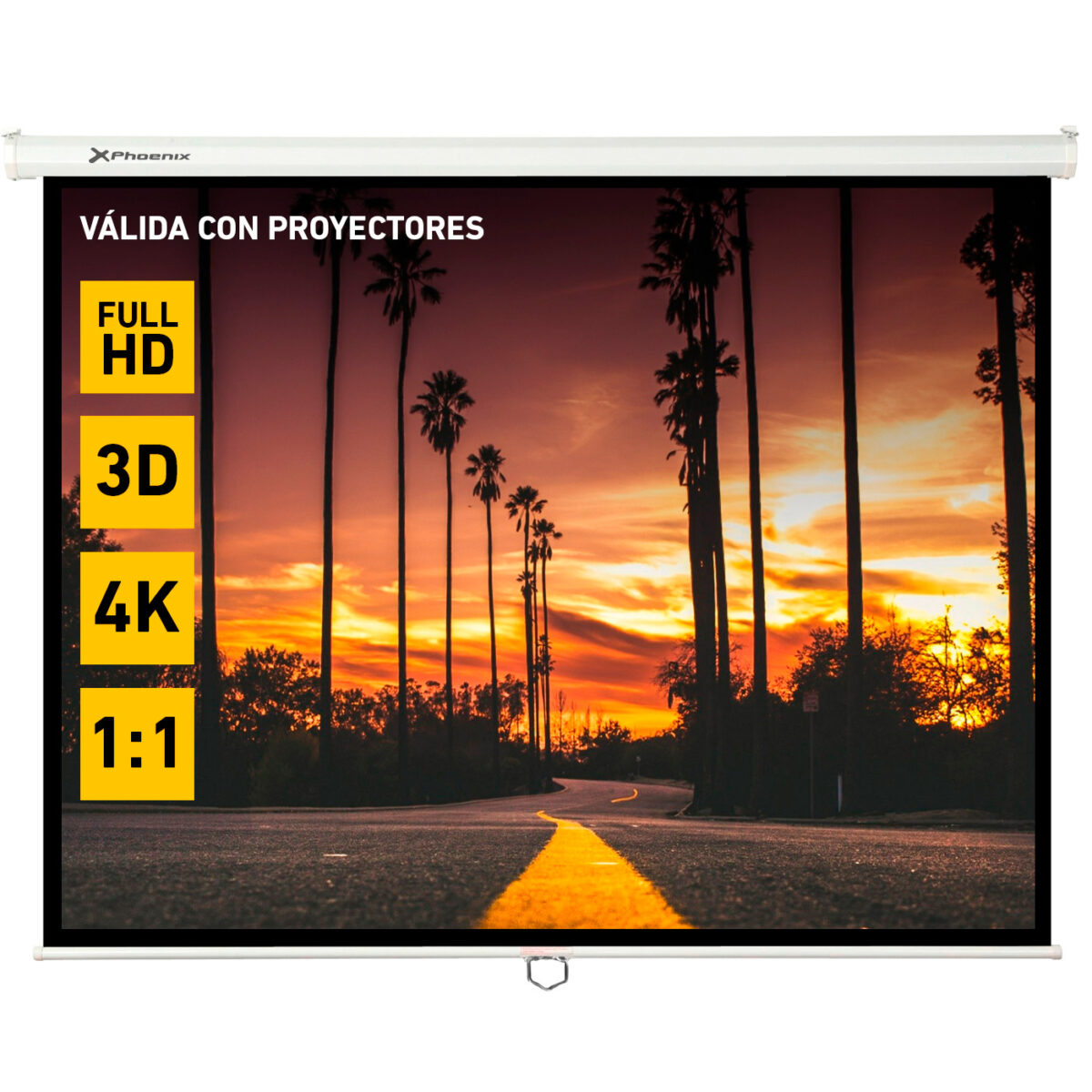 Pantalla manual Phoenix 169 pulgadas, 3x3m, pared y techo, formatos 1:1/4:3/16:9, posición ajustable, carcasa blanca